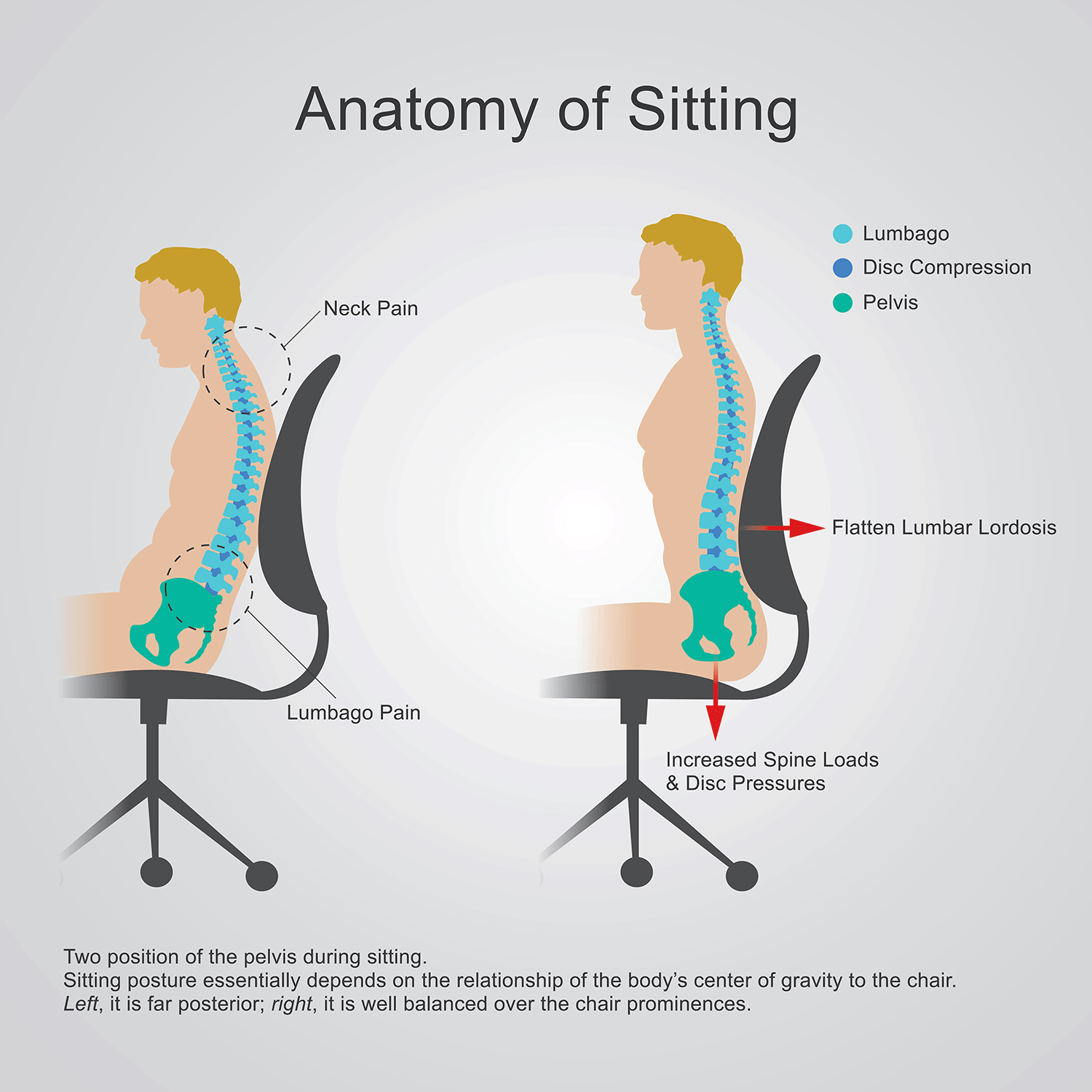 How Ergonomic Chairs Can Help With Back Pain | 7planbusiness.com
